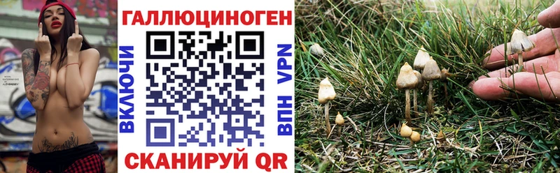 закладка  Минеральные Воды  Галлюциногенные грибы MAGIC MUSHROOMS 